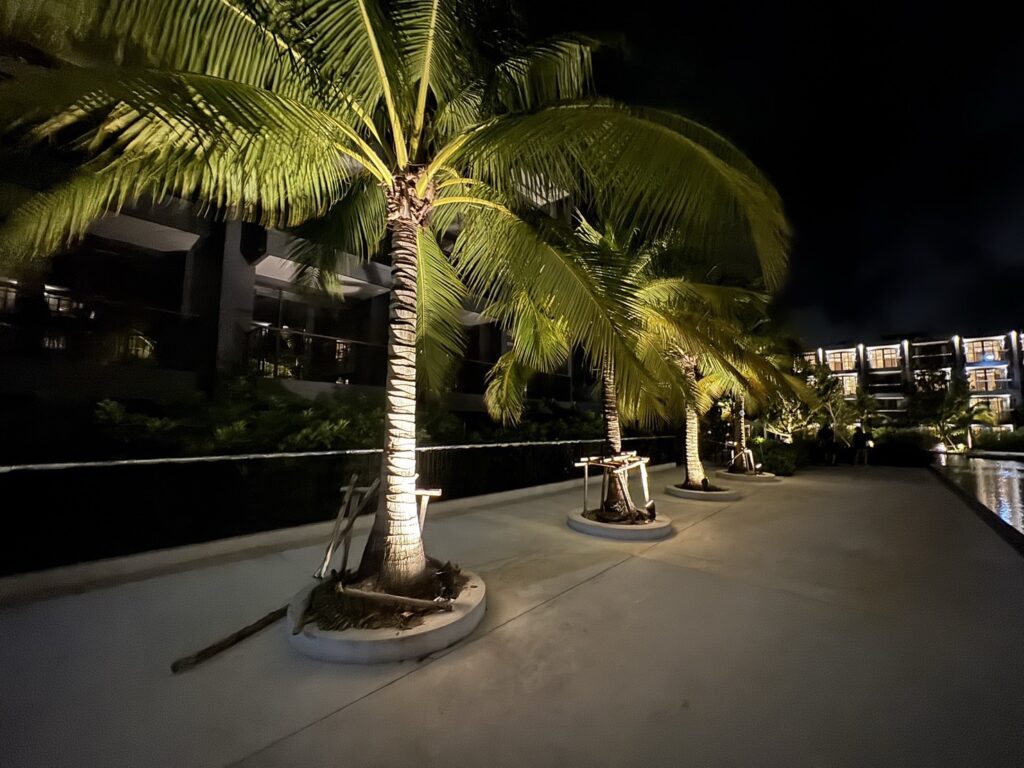 S__2449770_0